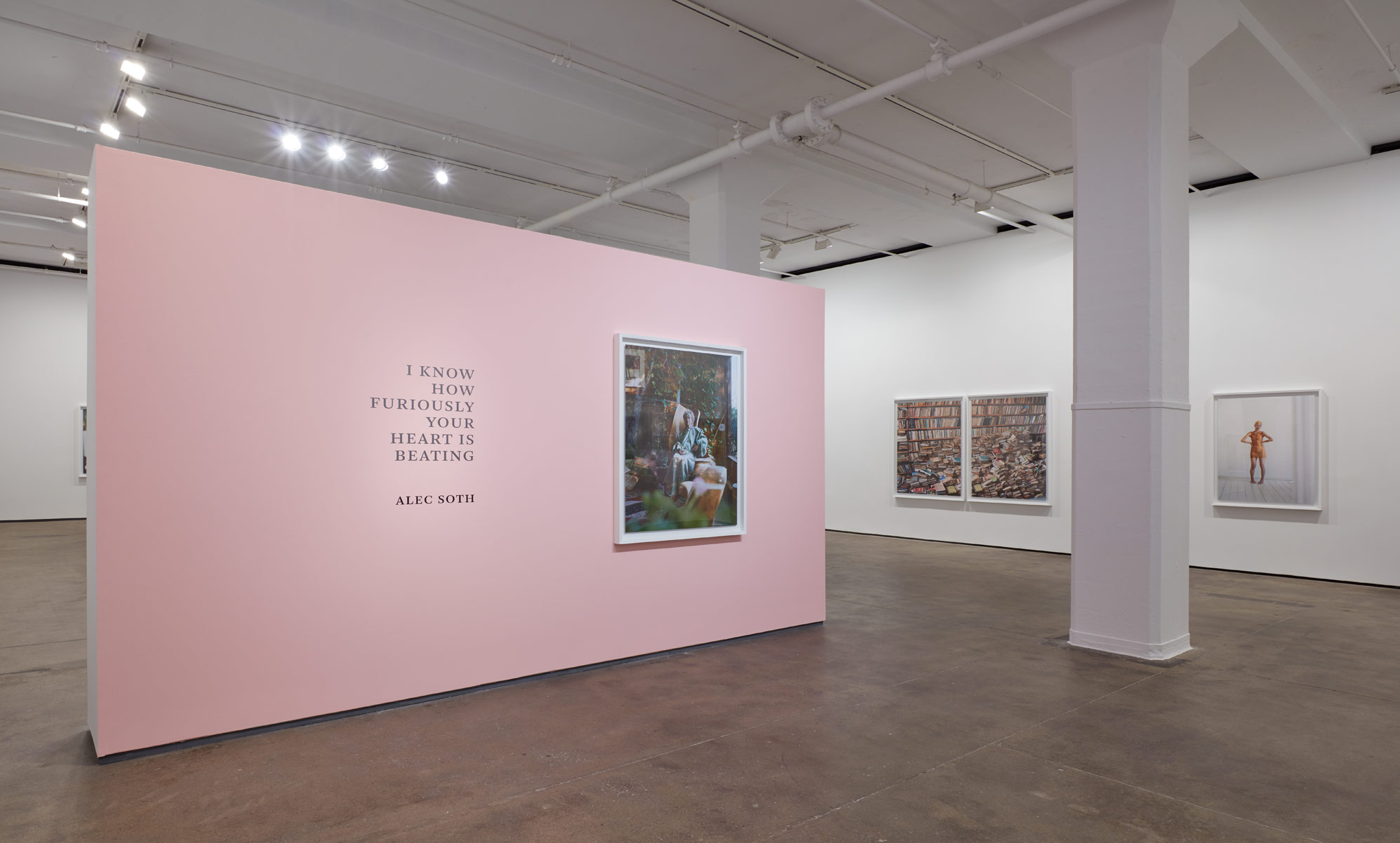 Installation view of Alec Soth: I Know How Furiously Your Heart Is Beating at Sean Kelly, New York March 21 - April 27, 2019 Photography: Jason Wyche, New York Courtesy: Sean Kelly, New York