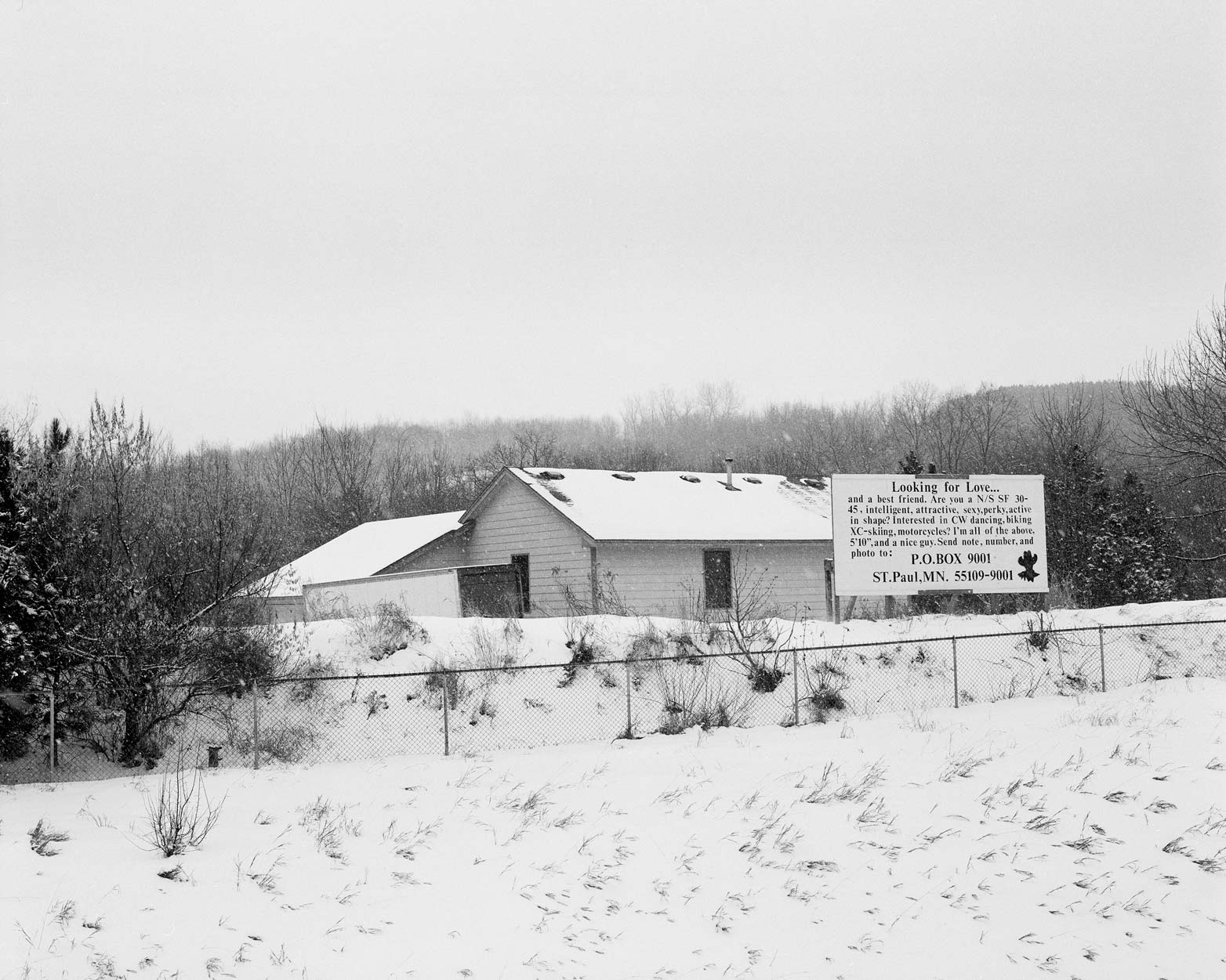 Looking for Love. Woodbury, Minnesota