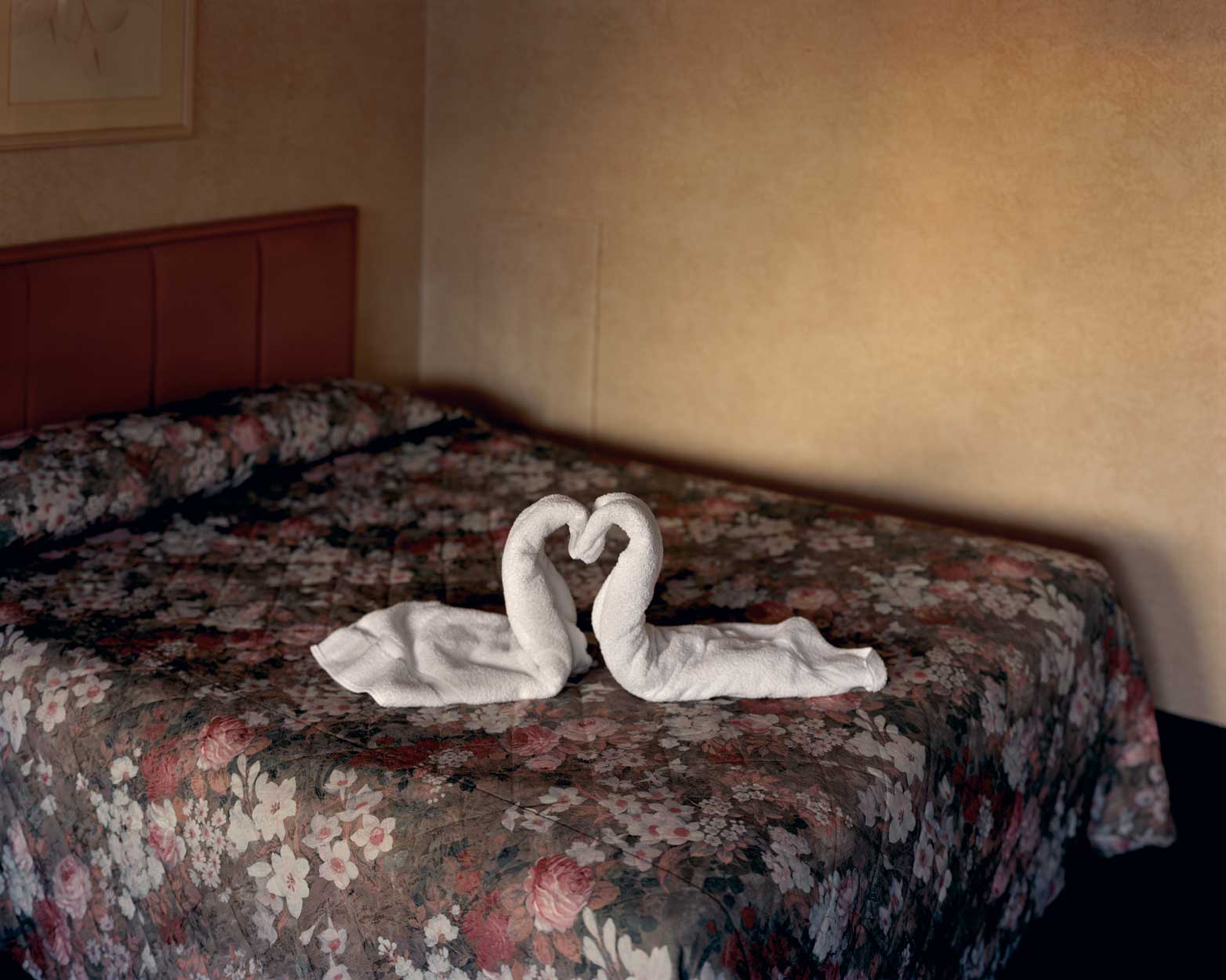 Two Towels, 2004
